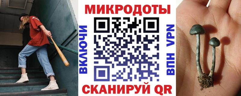 купить   ОМГ ОМГ ссылка  Псилоцибиновые грибы MAGIC MUSHROOMS  Пучеж 